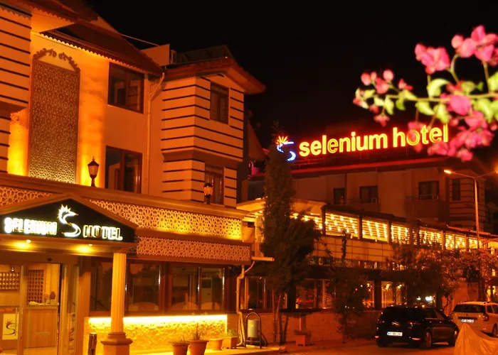 Selenium Hotel